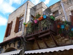 Zahradník má na Rhodosu práci celý rok