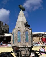 Místní bajka: Sova a holub