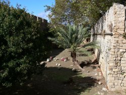 Zahrada pod hradbami