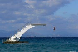 ....a nezbytný test