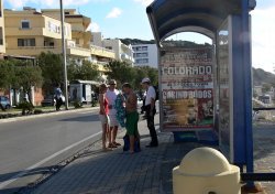 Nebo jezdí taky autobus...